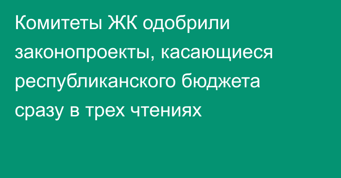 Комитеты ЖК одобрили законопроекты, касающиеся республиканского бюджета сразу в трех чтениях
