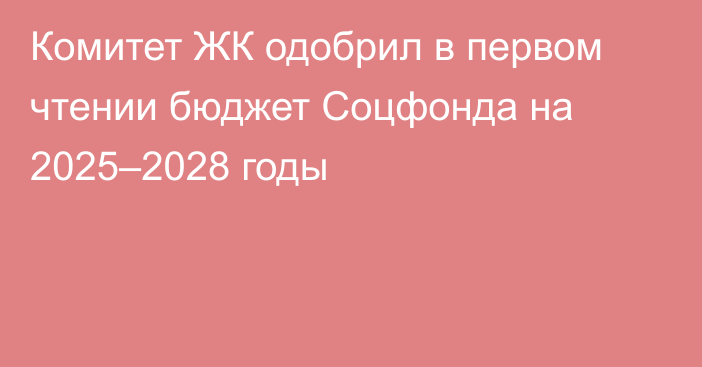 Комитет ЖК одобрил в первом чтении бюджет Соцфонда на 2025–2028 годы