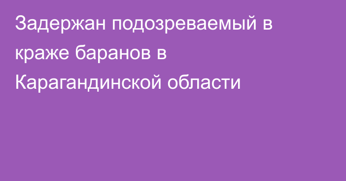 Задержан подозреваемый в краже баранов в Карагандинской области