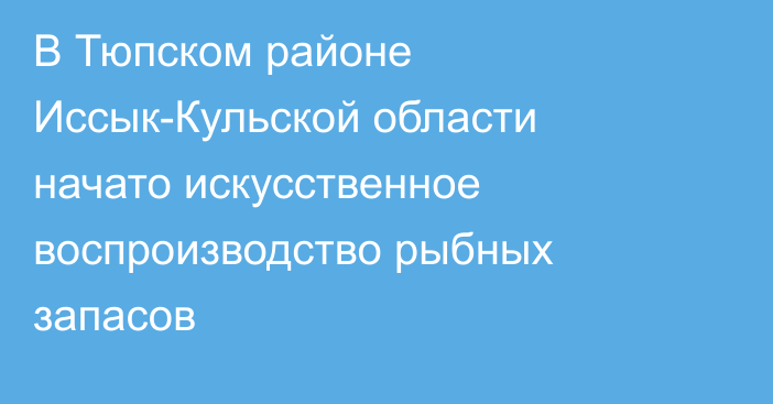 В Тюпском районе Иссык-Кульской области начато искусственное воспроизводство рыбных запасов