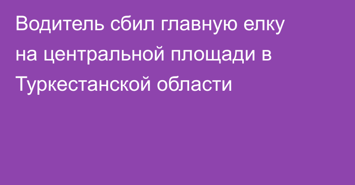Водитель сбил главную елку на центральной площади в Туркестанской области