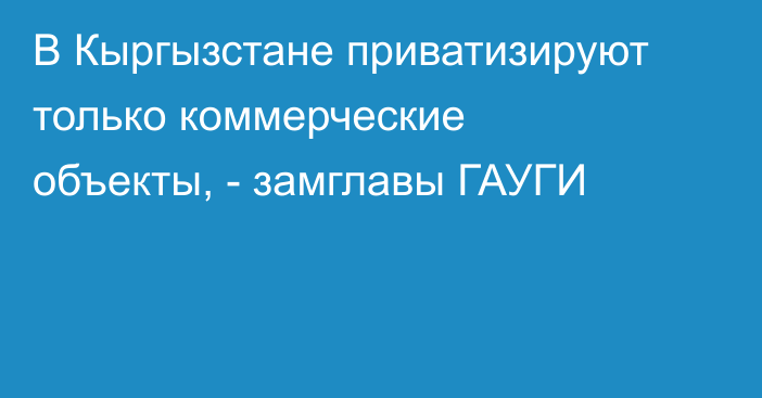 В Кыргызстане приватизируют только коммерческие объекты, - замглавы ГАУГИ