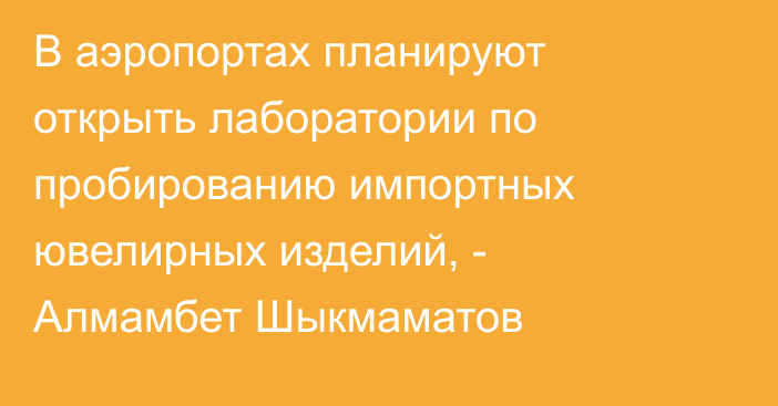 В аэропортах планируют открыть лаборатории по пробированию импортных ювелирных изделий, - Алмамбет Шыкмаматов