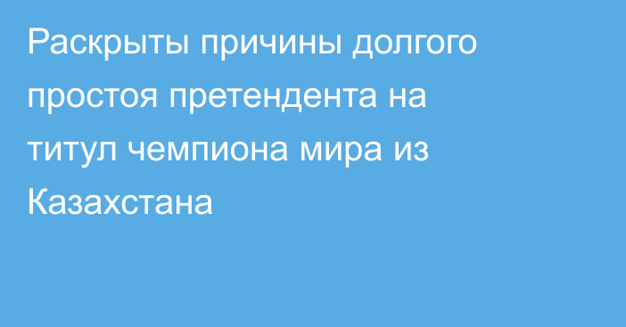 Раскрыты причины долгого простоя претендента на титул чемпиона мира из Казахстана