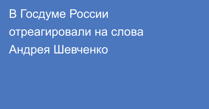 В Госдуме России отреагировали на слова Андрея Шевченко
