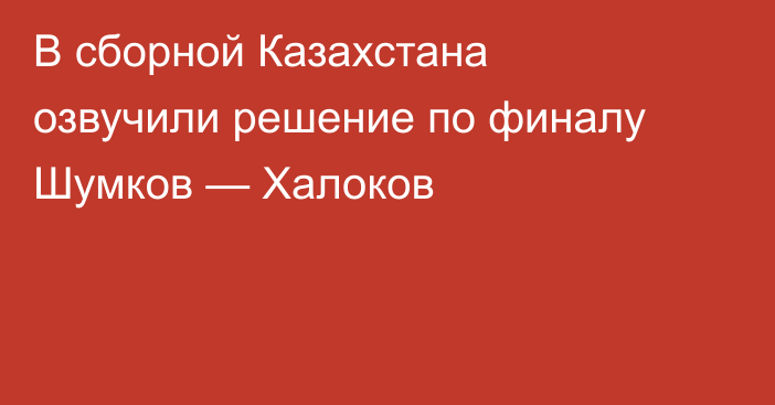 В сборной Казахстана озвучили решение по финалу Шумков — Халоков