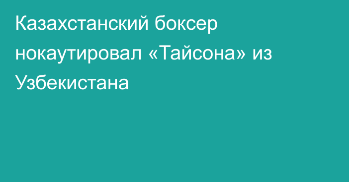 Казахстанский боксер нокаутировал «Тайсона» из Узбекистана