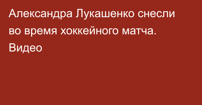 Александра Лукашенко снесли во время хоккейного матча. Видео