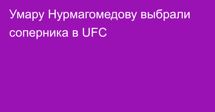 Умару Нурмагомедову выбрали соперника в UFC
