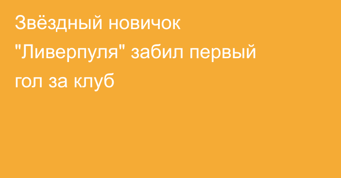 Звёздный новичок 