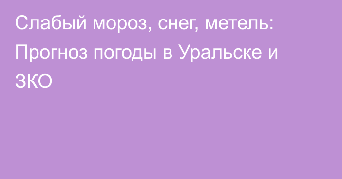 Слабый мороз, снег, метель: Прогноз погоды в Уральске и ЗКО