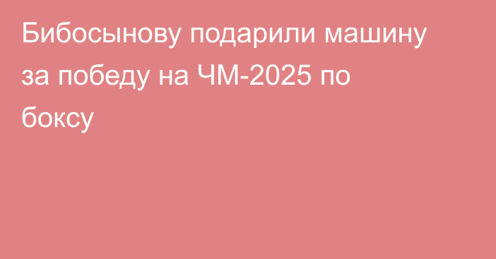 Бибосынову подарили машину за победу на ЧМ-2025 по боксу