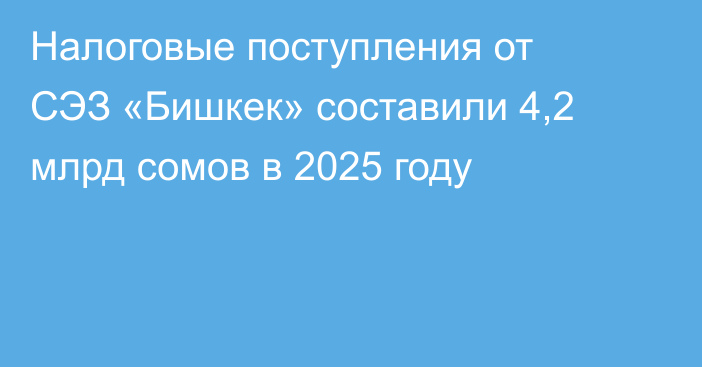 Налоговые поступления от СЭЗ «Бишкек» составили 4,2 млрд сомов в 2025 году