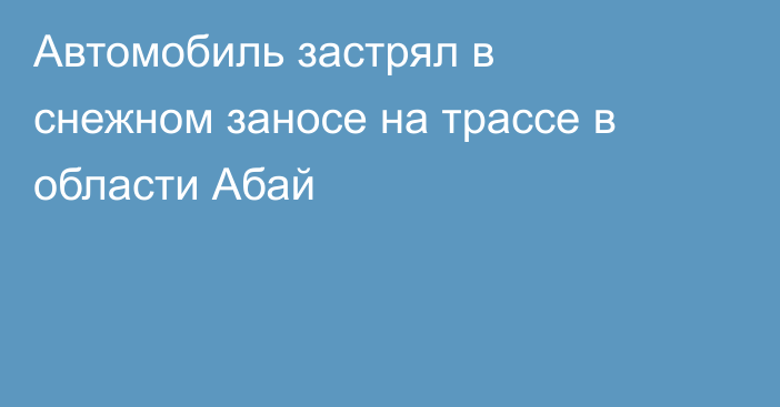 Автомобиль застрял в снежном заносе на трассе в области Абай