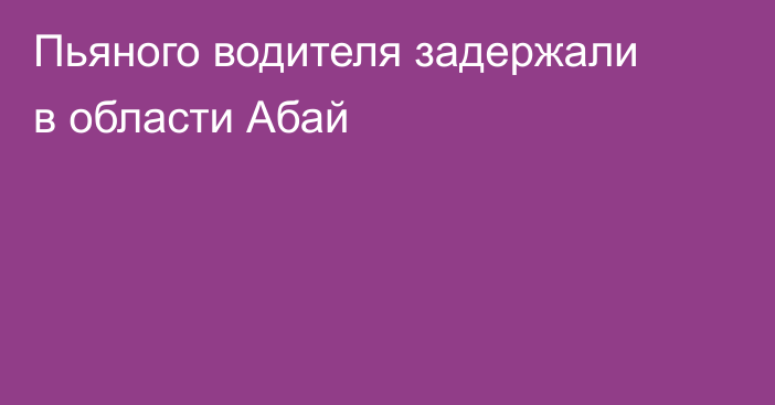 Пьяного водителя задержали в области Абай