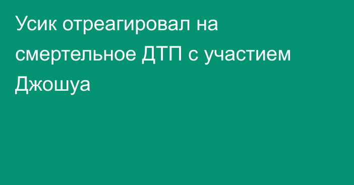 Усик отреагировал на смертельное ДТП с участием Джошуа