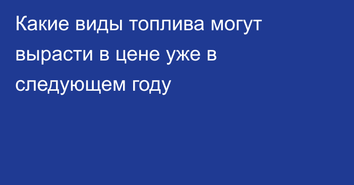 Какие виды топлива могут вырасти в цене уже в следующем году