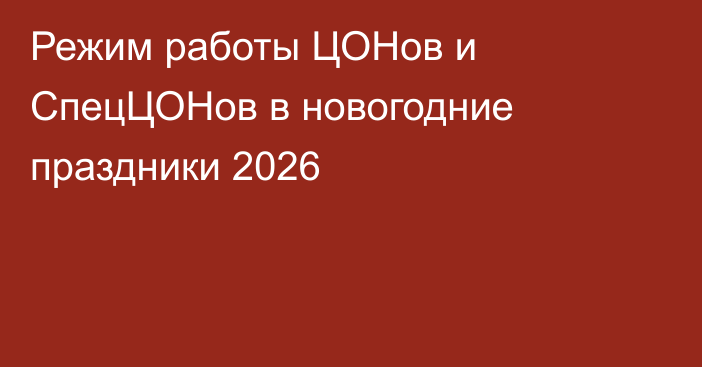 Режим работы ЦОНов и СпецЦОНов в новогодние праздники 2026