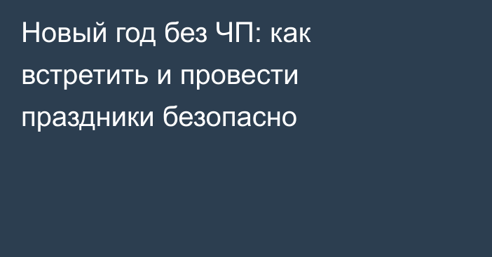 Новый год без ЧП: как встретить и провести праздники безопасно