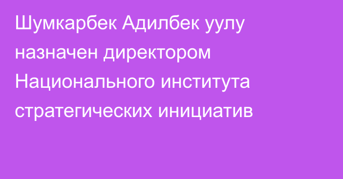 Шумкарбек Адилбек уулу назначен директором Национального института стратегических инициатив