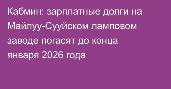 Кабмин: зарплатные долги на Майлуу-Сууйском ламповом заводе погасят до конца января 2026 года
