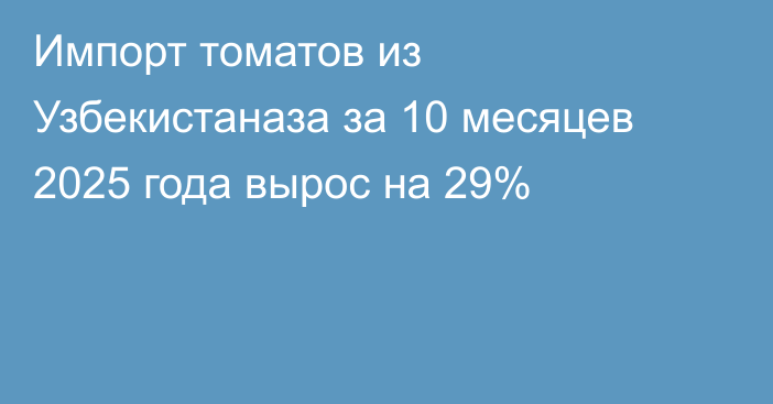Импорт томатов из Узбекистаназа за 10 месяцев 2025 года вырос на 29%