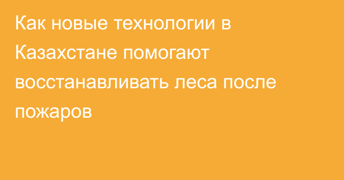 Как новые технологии в Казахстане помогают восстанавливать леса после пожаров