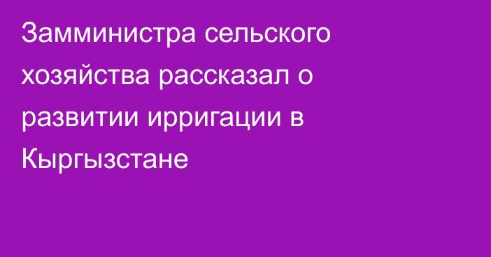 Замминистра сельского хозяйства рассказал о развитии ирригации в Кыргызстане