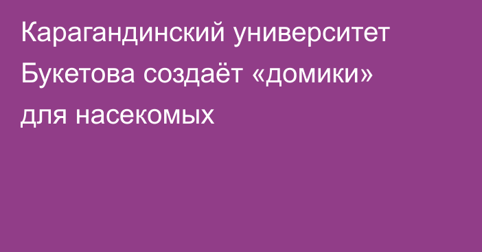 Карагандинский университет Букетова  создаёт «домики» для насекомых
