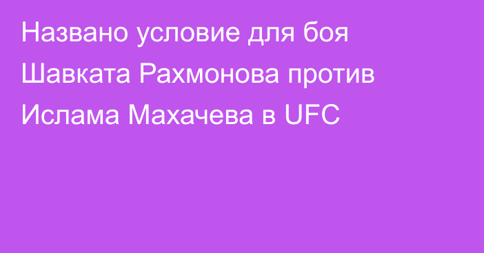 Названо условие для боя Шавката Рахмонова против Ислама Махачева в UFC