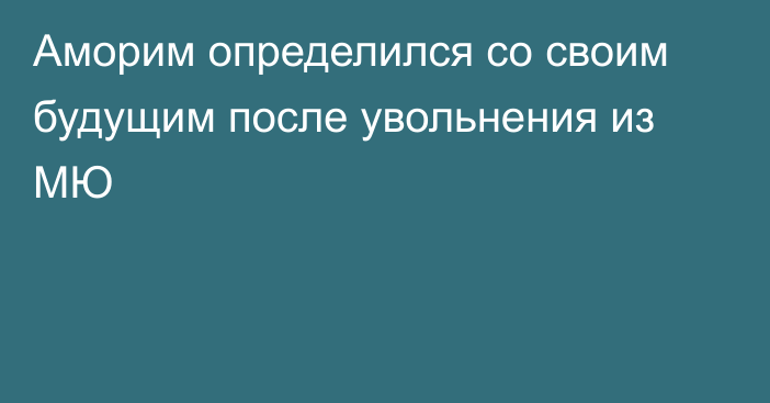 Аморим определился со своим будущим после увольнения из МЮ