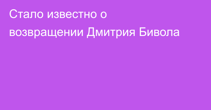 Стало известно о возвращении Дмитрия Бивола