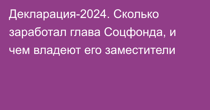 Декларация-2024. Сколько заработал глава Соцфонда, и чем владеют его заместители