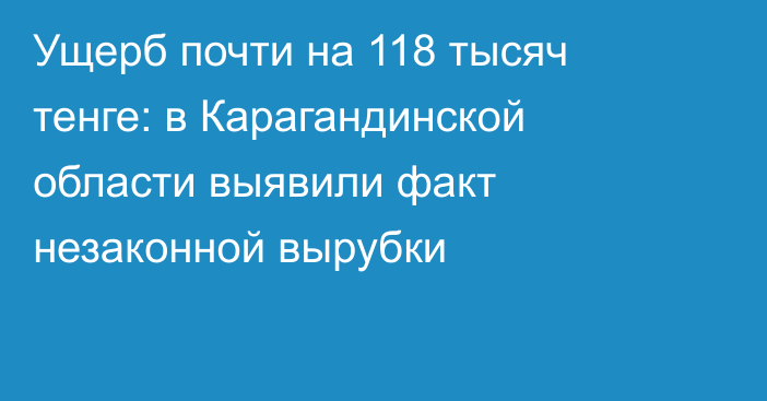 Ущерб почти на 118 тысяч тенге: в Карагандинской области выявили факт незаконной вырубки