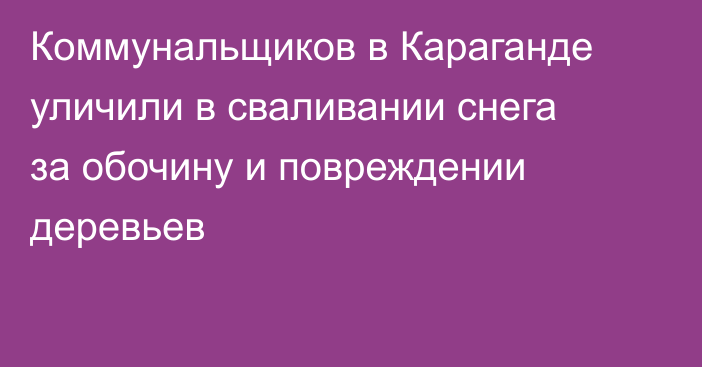 Коммунальщиков в Караганде уличили в сваливании снега за обочину и повреждении деревьев