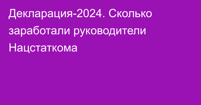 Декларация-2024. Сколько заработали руководители Нацстаткома