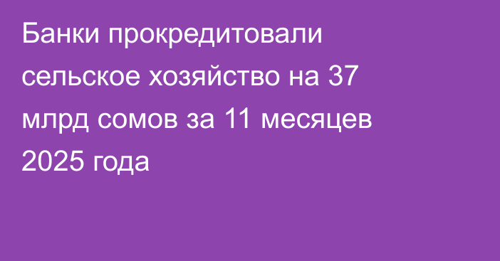 Банки прокредитовали сельское хозяйство на 37 млрд сомов за 11 месяцев 2025 года