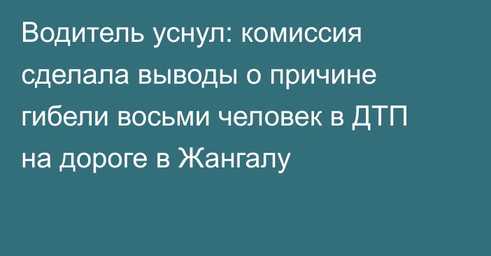 Водитель уснул: комиссия сделала выводы о причине гибели восьми человек в ДТП на дороге в Жангалу