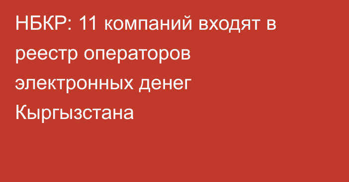 НБКР: 11 компаний входят в реестр операторов электронных денег Кыргызстана