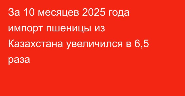 За 10 месяцев 2025 года импорт пшеницы из Казахстана увеличился в 6,5 раза
