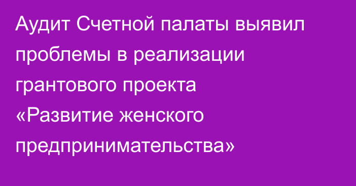 Аудит Счетной палаты выявил проблемы в реализации грантового проекта «Развитие женского предпринимательства»