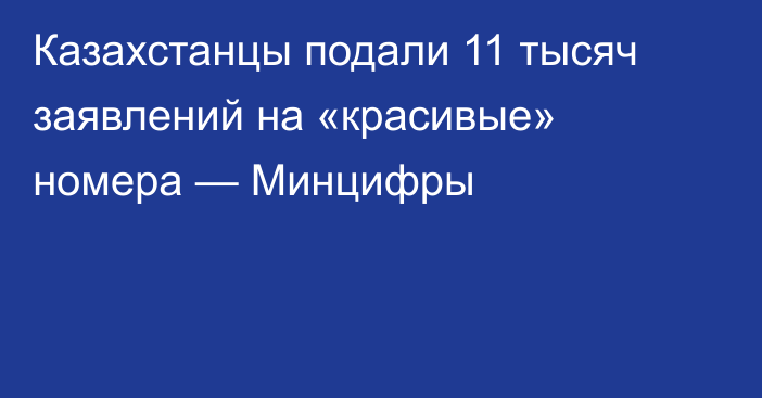 Казахстанцы подали 11 тысяч заявлений на «красивые» номера — Минцифры
