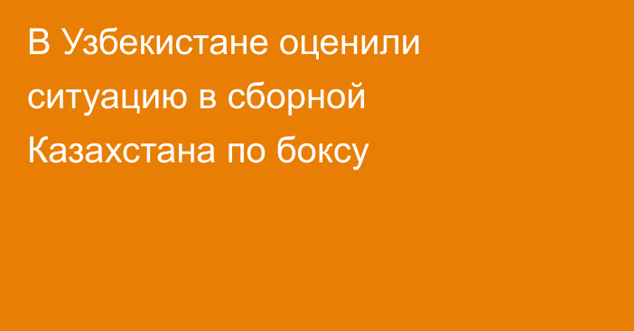 В Узбекистане оценили ситуацию в сборной Казахстана по боксу
