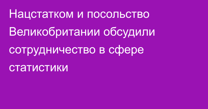Нацстатком и посольство Великобритании обсудили сотрудничество в сфере статистики