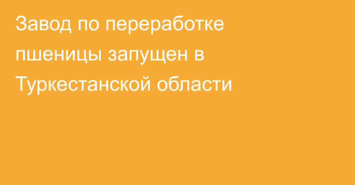 Завод по переработке пшеницы запущен в Туркестанской области