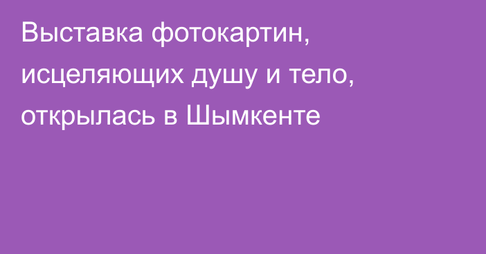 Выставка фотокартин, исцеляющих душу и тело, открылась в Шымкенте