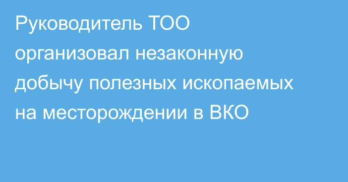 Руководитель ТОО организовал незаконную добычу полезных ископаемых на месторождении в ВКО