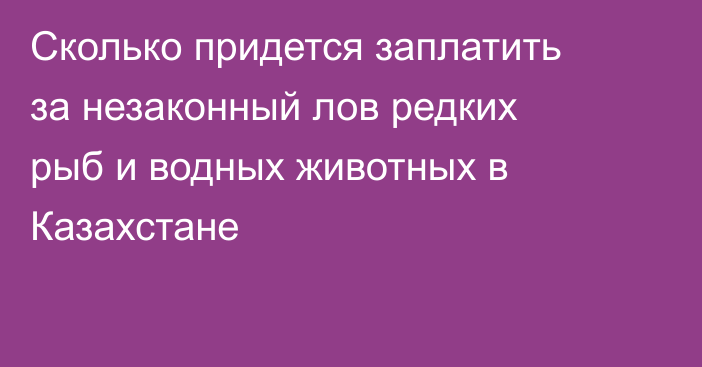 Сколько придется заплатить за незаконный лов редких рыб и водных животных в Казахстане