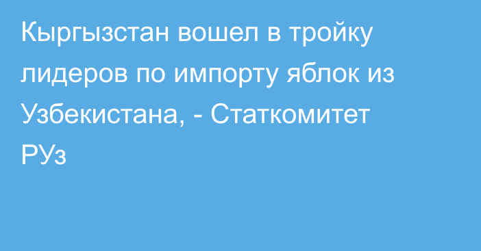 Кыргызстан вошел в тройку лидеров по импорту яблок из Узбекистана, - Статкомитет РУз