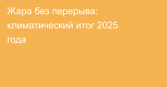 Жара без перерыва: климатический итог 2025 года
